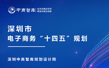 深圳市电子商务发展“十四五”规划